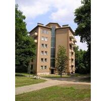 Frisch renovierte 2-Zimmer-Wohnung! - Osnabrück Wüste