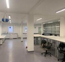 S1 Labor Laborfläche Forschungslabor Molekularbiologie etc. - Wuppertal Arrenberg