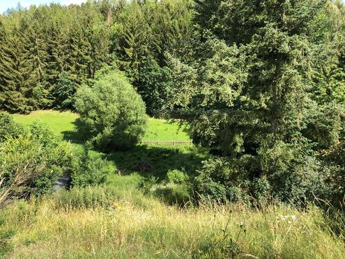 Foto - Grundst&uuml;ck in Plauen zur Miete