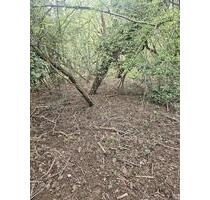 Garten 145 m² im Wald – ruhig – 100€Monat - Linz am Rhein