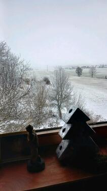 Foto - interessanter, naturnaher Wohlfühlort (abgelegen)