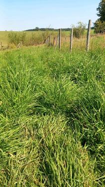 Foto - 2.5 Zimmer Etagenwohnung in Wildpoldsried