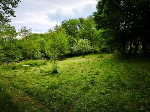 Foto - Grundstück in Cleebronn bei Heilbronn