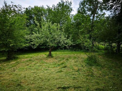 Foto - Grundst&uuml;ck zur Miete in Cleebronn