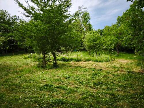 Foto - Grundst&uuml;ck in Cleebronn zur Miete
