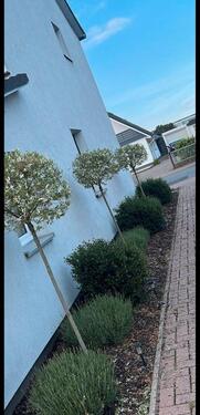 Foto - 3 Zimmer Etagenwohnung in Stuhr