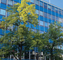 Büro mit direktem Gartenzugang - Nähe Ernst-Reuter-Platz - Berlin Charlottenburg-Wilmersdorf