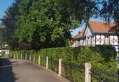 Foto - Landhaus-Villa Baden-Baden, 354 qm Wfl., 1.400 qm, provisionsfrei