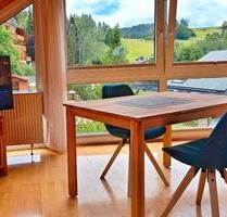 Ruhige erholsame Ferienwohnung im Hochschwarzwald m. Zug od. Auto - Hinterzarten