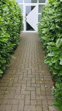 Foto - 1 Zimmer Erdgeschoßwohnung in Tönisvorst