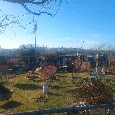 Foto - Grundst&uuml;ck zur Miete in Döbeln