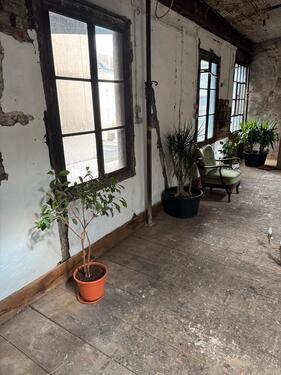 Foto - andere in Wuppertal zur Miete