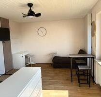 Renovierte 1 Zimmer Wohnung mit Loggia EBK Balkon Garage Möbliert - Würzburg Lengfeld