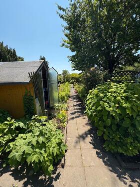 Foto - Grundst&uuml;ck in Heidenau