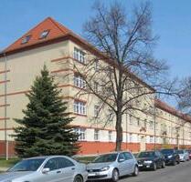 Tolkewitz 3-Raum Wohnung im Grünen 620 Euro - Dresden Blasewitz