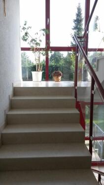 Foto - Etagenwohnung in Glauchau zur Miete