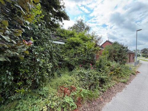 Foto - Einfamilienhaus in Bunde zum Kaufen