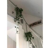3,5 Zimmer Maisonette Wohnung+Dachspitze, zentral, 140 qm, Balkon - Walldorf