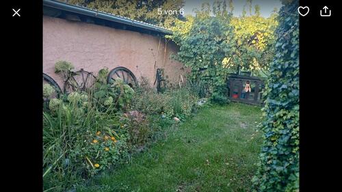 Foto - Einfamilienhaus zur Miete in Eldetal