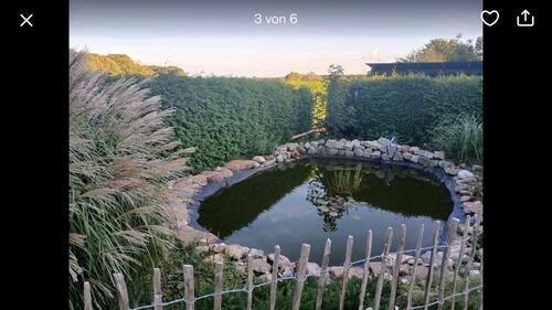 Foto - Einfamilienhaus in Eldetal