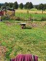 Foto - Pachtgarten - 4.900,00 EUR Kaltmiete, ca.  0,00 m²