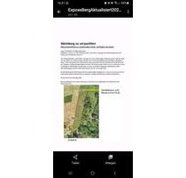 Weinberg zu verpachten an Hobby Weinbauern - Stuttgart Luginsland