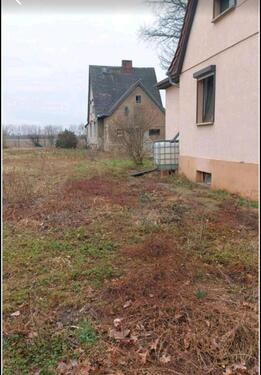 Foto - Einfamilienhaus in Güsten