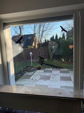 Foto - 5 Zimmer Doppelhaushälfte zur Miete in Altenberge