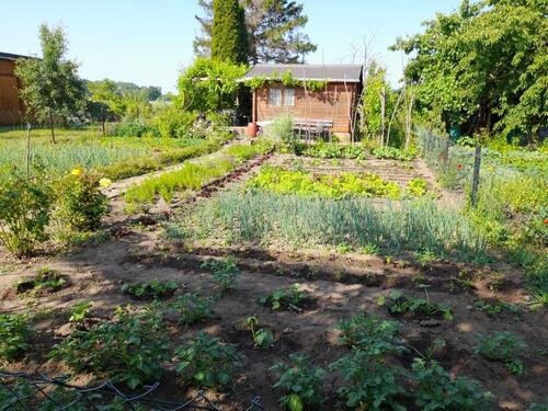 Foto - Gepflegter Schrebergarten in Sehnde-Bilm