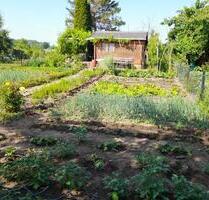 Gepflegter Schrebergarten in Sehnde-Bilm - Garbsen