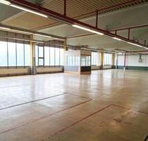 Große Lagerhalle in Göppingen – Mit Lastenaufzug, ab 2 EURm²
