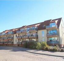 Große 1 Raumwohnung im Plötzkauer Ring im gepflegtenWohnpark West - Köthen (Anhalt)