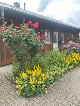 Foto - VORANKÜNDIGUNG! EFH im Skandinavien Stil in Wildeshausen..