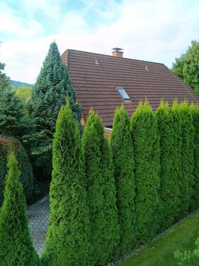 Foto - Habe Haushälfte, 31249 Hohenhameln Clauen