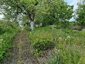 Foto - Schrebergarten Hegelsberg KgV - 2.500,00 EUR Kaltmiete, ca.  0,00 m²
