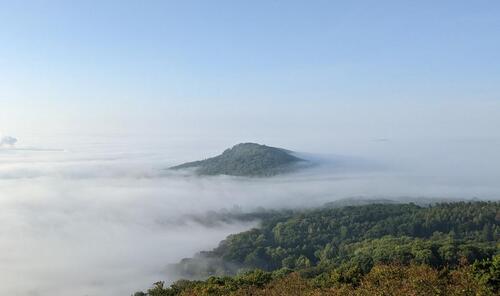 Foto - Baugrundstück KS-Brasselsberg ca. 2300m² mit Altbestand