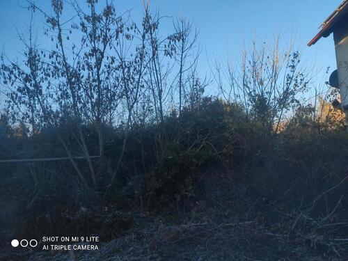 Foto - Reihenhaus in Mühlberg/Elbe zum Kaufen