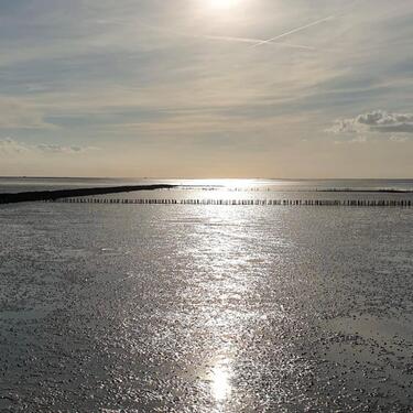 Foto - 2 Zimmer Erdgeschoßwohnung in Büsum