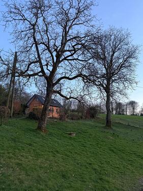 Foto - Wochenendhaus Ferienhaus Tinyhaus Selbstversorger Nutzgarten