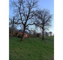 Wochenendhaus Ferienhaus Tinyhaus Selbstversorger Nutzgarten - Odenthal