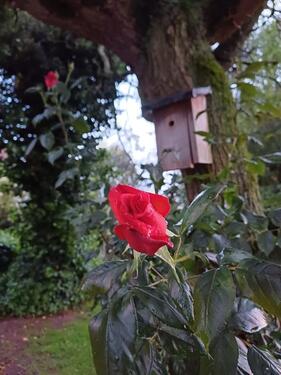 Foto - Exklusiv ausgestattete Wohnung in ruhiger und angenehmer Lage!
