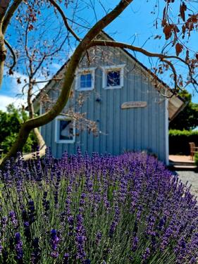 Foto - Ferienhaus Tietverdriew Glowe Rügen Boddeninge Ostsee