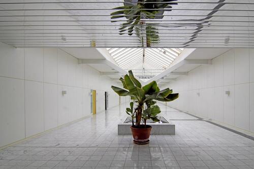 Foto - andere in Mering