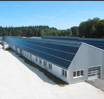 Lagerhallen - 1.200,00 EUR Kaltmiete, in Hermeskeil (PLZ: 54411)