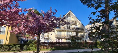 Foto - andere in Sellin zur Miete