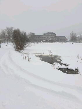 Foto - andere zur Miete in Goslar