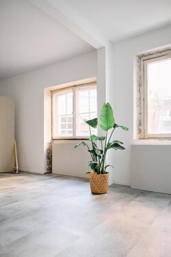 Foto - andere in Fürth