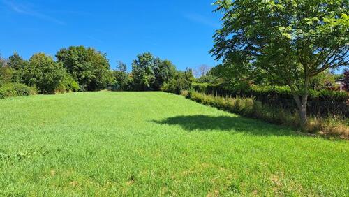 Foto - Garten in der Gibb in Wiesbaden, 500qm, ruhig und zentral
