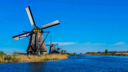 Foto - andere in Bornheim