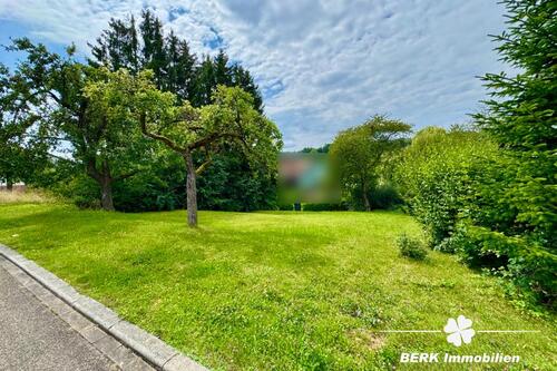 Foto - BERK Immobilien - attraktives Baugrundstück mit leichter Hanglage
